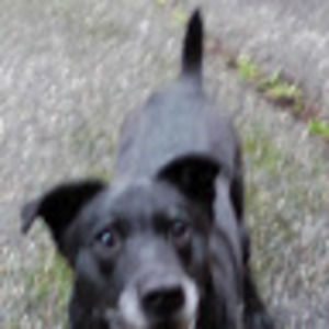 Meet your Posher, Scott